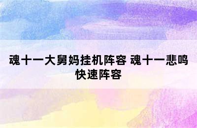 魂十一大舅妈挂机阵容 魂十一悲鸣快速阵容